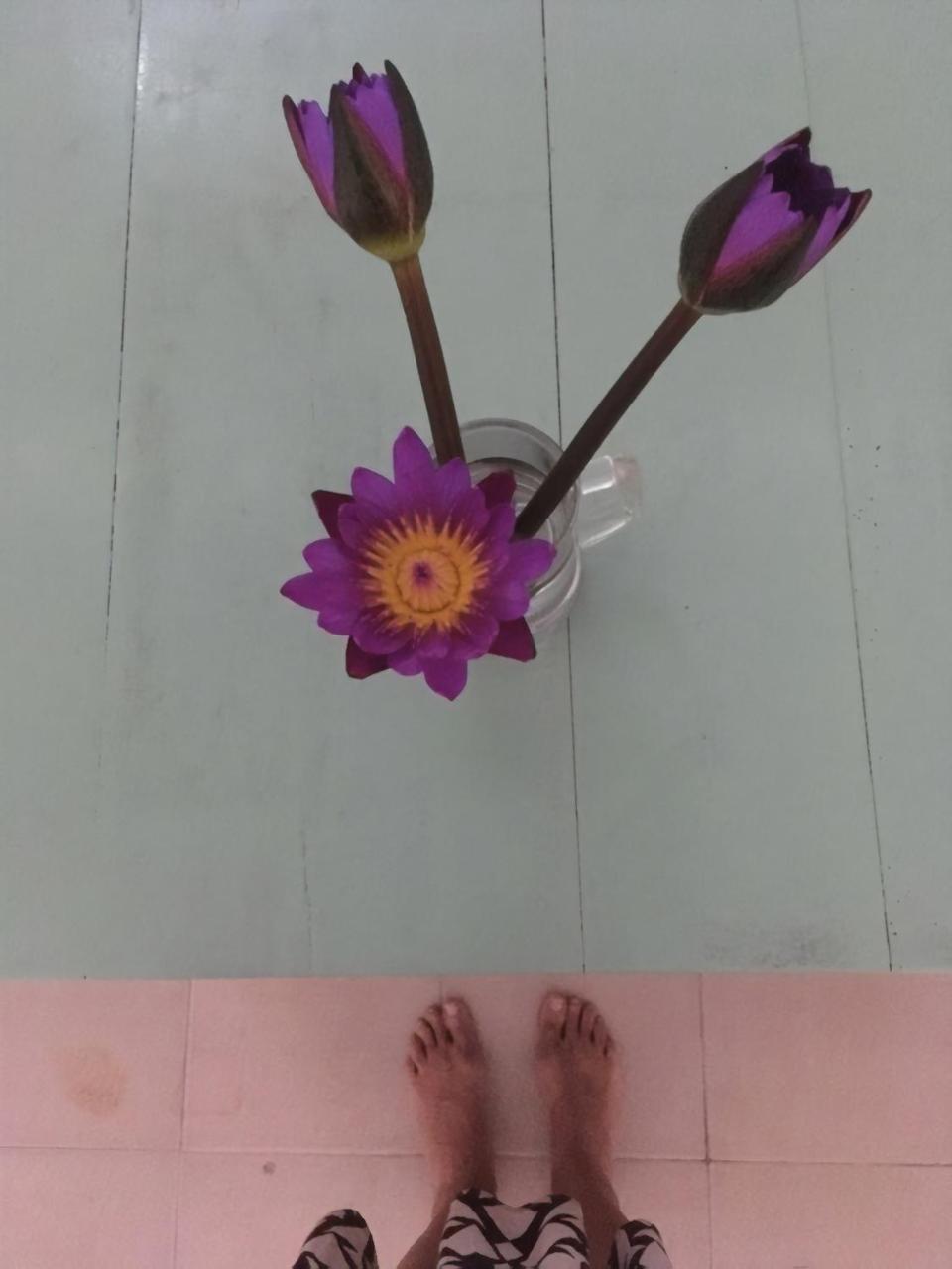 הוסטל ווליגאמה Layback Boutique Surf & Yoga Camp Sri Lanka מראה חיצוני תמונה