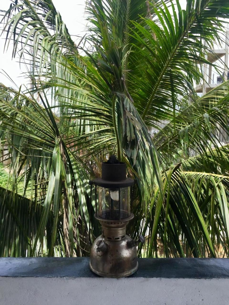 הוסטל ווליגאמה Layback Boutique Surf & Yoga Camp Sri Lanka מראה חיצוני תמונה