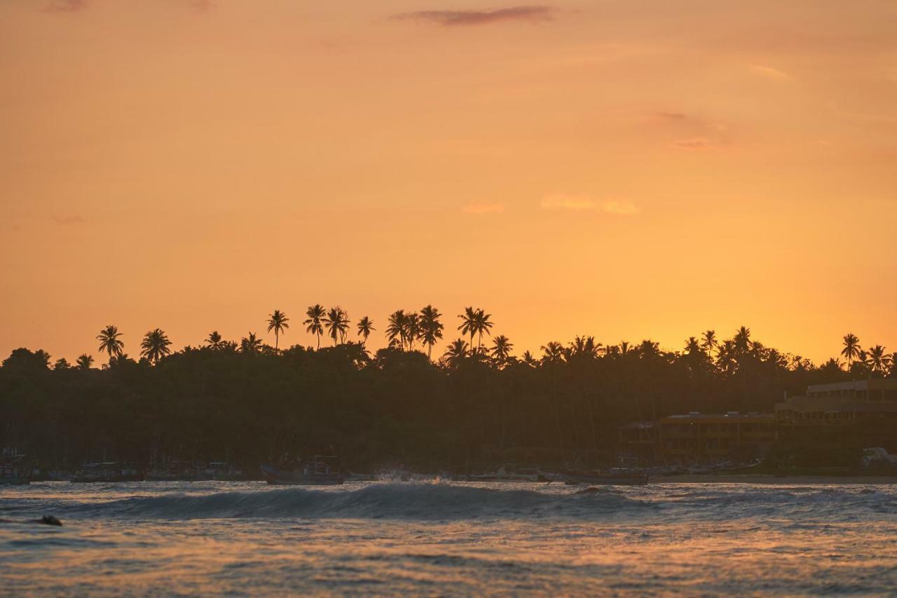 הוסטל ווליגאמה Layback Boutique Surf & Yoga Camp Sri Lanka מראה חיצוני תמונה