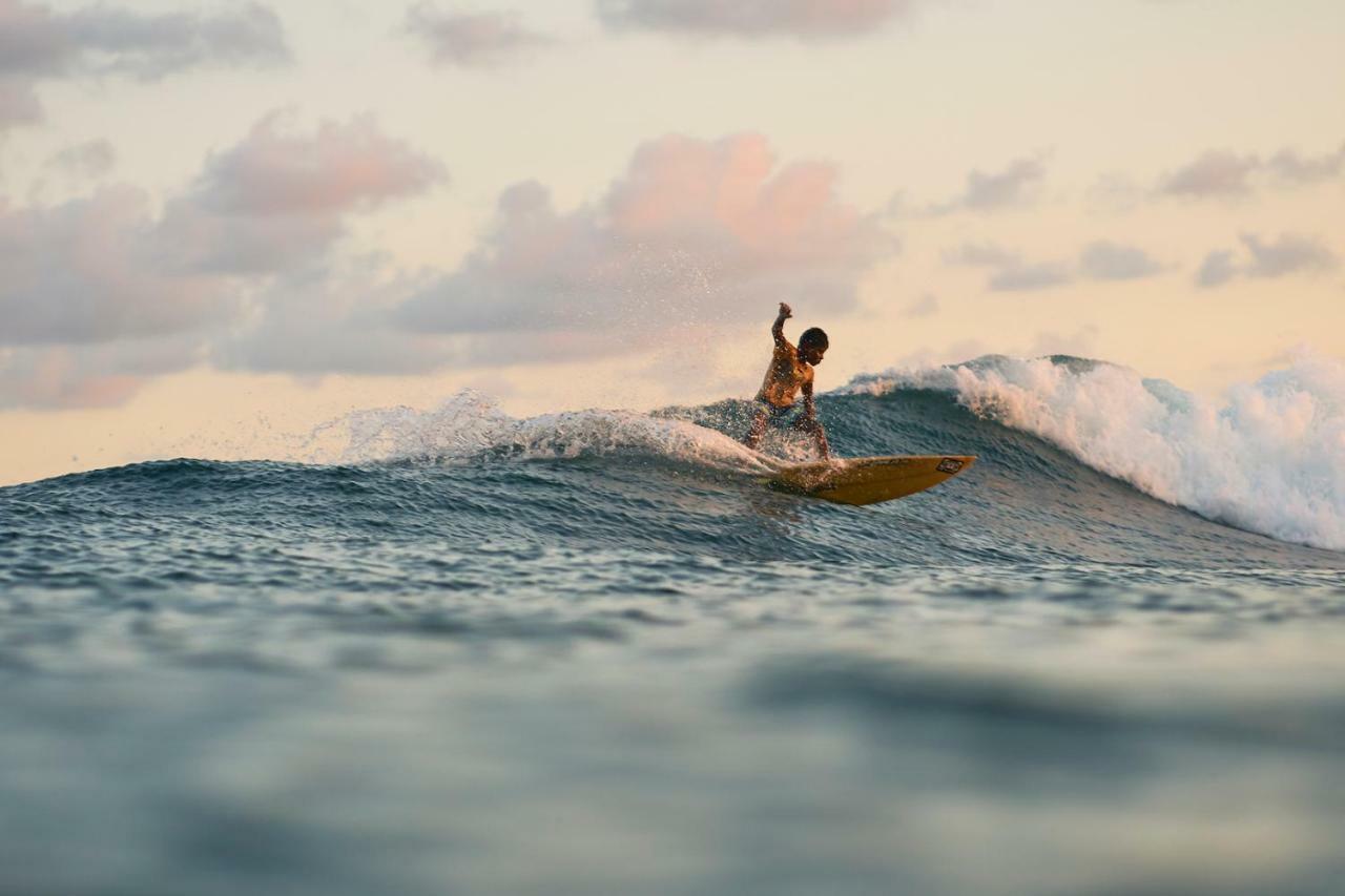 הוסטל ווליגאמה Layback Boutique Surf & Yoga Camp Sri Lanka מראה חיצוני תמונה